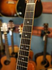 Shelly SS-D70  Brazilian Rosewood_6