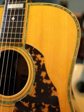 Shelly SS-D70  Brazilian Rosewood_7