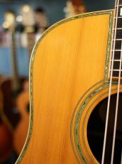 Shelly SS-D70  Brazilian Rosewood_8