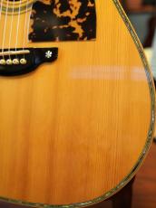 Shelly SS-D70  Brazilian Rosewood_9