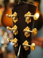 Shelly SS-D70  Brazilian Rosewood_10