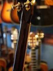 Shelly SS-D70  Brazilian Rosewood_11
