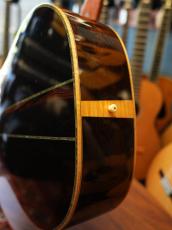 Shelly SS-D70  Brazilian Rosewood_15