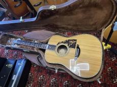 Shelly SS-D70  Brazilian Rosewood_17