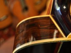 Shelly SS-D70  Brazilian Rosewood_13