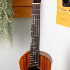 KoAloha KTM-25 Silver Tenor 2021_4