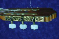 Pedro Valbuena [ペドロ・バルブエナ] 松/シープレス　1996年_5