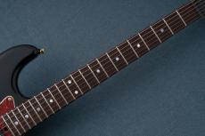 James Tyler The Black Classic Level 3【3.63kg】_8