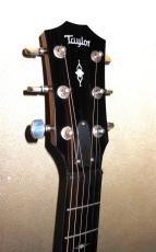 Taylor 312CE Vclass_3