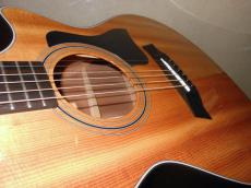 Taylor 312CE Vclass_7