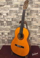 Giannini ジャニーニ 1970年代_2