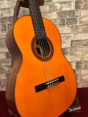 Giannini ジャニーニ 1970年代_3