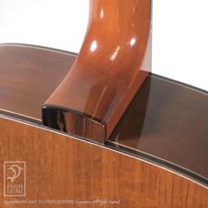 Acatstic Guitars OM-LS _12