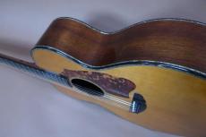 Terry's Terry TCJ-2000 / SN : # 1/10・10th Anniversary Model・Abalone Trim and Rosette・Premium Spruce Top・Premium Jacaranda Side and Back・ With Heel Sculpt・Tortoise Pick-guard 【With Original Case】 2000年製_5