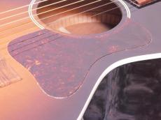 Gibson L-00 '01_2