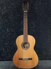 Martinez Torres 650 MH《国内入荷は一本のみ!!》【オンラインストア限定】_2