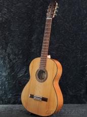 Martinez Torres 650 MH《国内入荷は一本のみ!!》【オンラインストア限定】_3