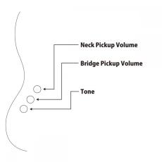 FUJIGEN NJB100MBAHVL-VNT(Vintage Natural)【オンラインストア限定】_9