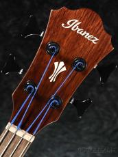 Ibanez AEGB24FE Fretless -MHS《エレアコベース/フレットレス》【オンラインストア限定】_5