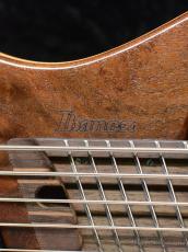 Ibanez EHB1265MS -NML (Natural Mocha Low Gloss)-【限定生産モデル】_7
