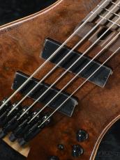 Ibanez EHB1265MS -NML (Natural Mocha Low Gloss)-【限定生産モデル】_8