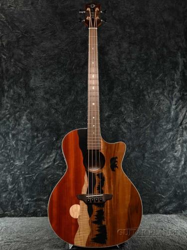 Luna Vista Bear Acoustic Bass A/E With Hardshell Case【オンラインストア限定】
