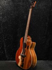 Luna Vista Bear Acoustic Bass A/E With Hardshell Case【オンラインストア限定】_2