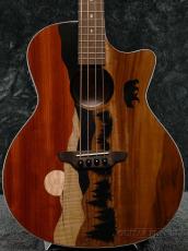 Luna Vista Bear Acoustic Bass A/E With Hardshell Case【オンラインストア限定】_4