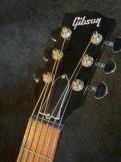 Gibson 【NEW】 Japan Exclusive Model J-45 Standard ~Triburst~ #23033132 [2023年製] _4