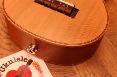 Mahalo MM2 Satin Finish Cedar-top Solid Mahogany Concert Ukulele w/Mike_7