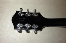Gretsch G6119-1962HT_5