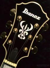 Ibanez AF95 -DA (Dark Amber)-【オンラインストア限定】_6