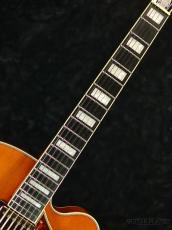 Ibanez AF95 -DA (Dark Amber)-【オンラインストア限定】_7