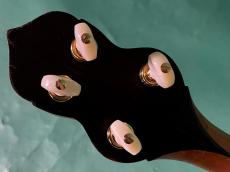 Gibson TB-5_6