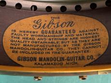 Gibson TB-5_11
