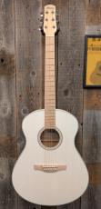 Ibanez AAM370E 【エレアコ】_2