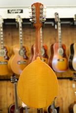 GOLD TONE GM-10 Frypan Mandolin w/Maple Armlest_5