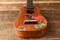 Shimo Guitars Soprano Longneck "‘I‘iwi "_9