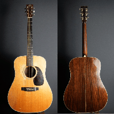 Kasuga The Kasuga BG-100　1973年製