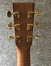 Martin GPC PA1_6