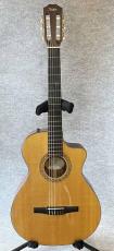 Taylor NS-32CE