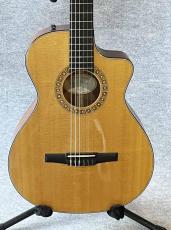 Taylor NS-32CE_2