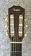Taylor NS-32CE_3