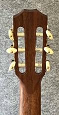 Taylor NS-32CE_4