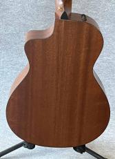 Taylor NS-32CE_5
