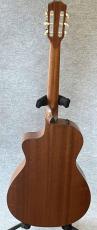 Taylor NS-32CE_6