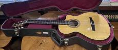 Taylor NS-32CE_7