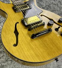 Seventy Seven Guitars 【夏の中古ギター祭り】ALBATROSS-KORINA HH-SP'24/NJ 'Natural【2024'sUSED】_11