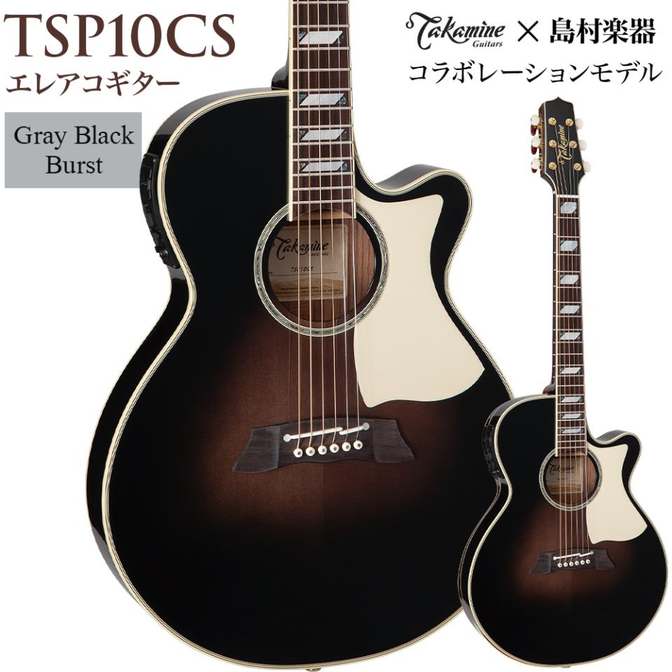Takamine エレクトリックアコースティックギター 500CUSTOM華道