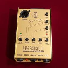L.R.Baggs 50th Anniversary Gold Para DI 【未展示在庫】【国内300台限定】【LR Baggs社50周年記念モデル】_2